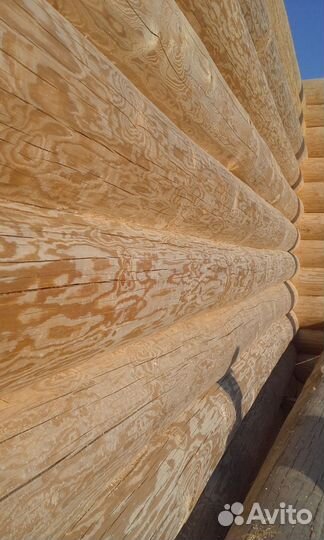 Срубы бань и домов