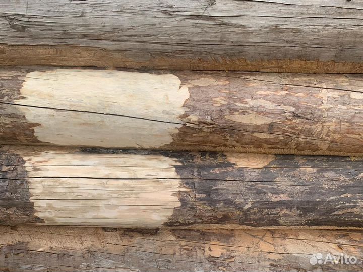 Сруб бани 6х6