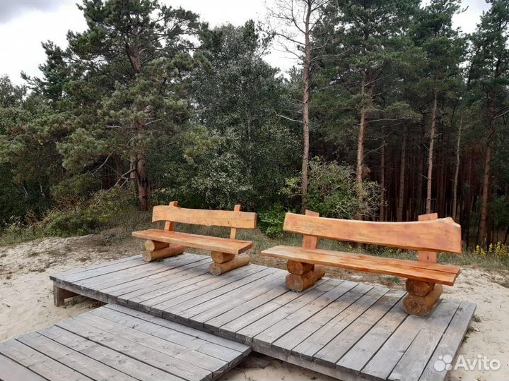 Куршская Коса+Орнитологическая Станция экскурсия