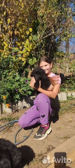 Нам 2 месяца.Детки ждут новых мама и пап