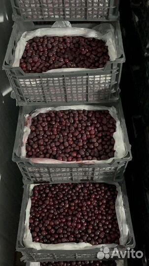 Вишня замороженная оптом