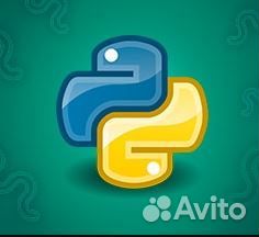 Репетитор наставник Python Питон