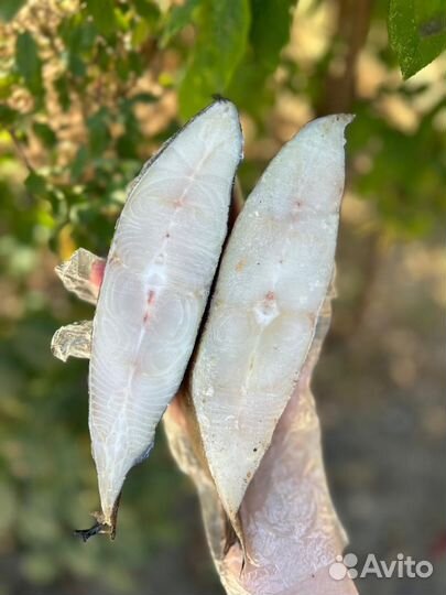 Стейки палтуса