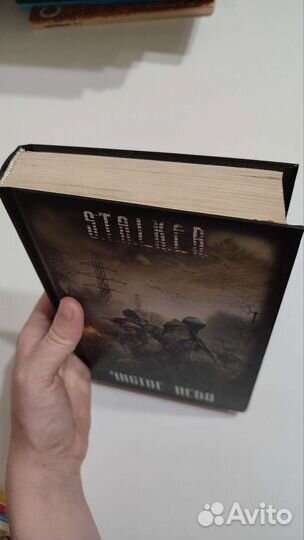 Книга Stalker сталкер Чистое небо
