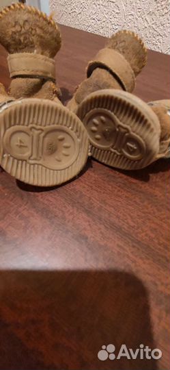 Сапожки для собак