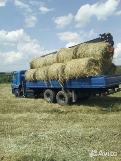 Сено в рулонах по 350кг. 2024 год