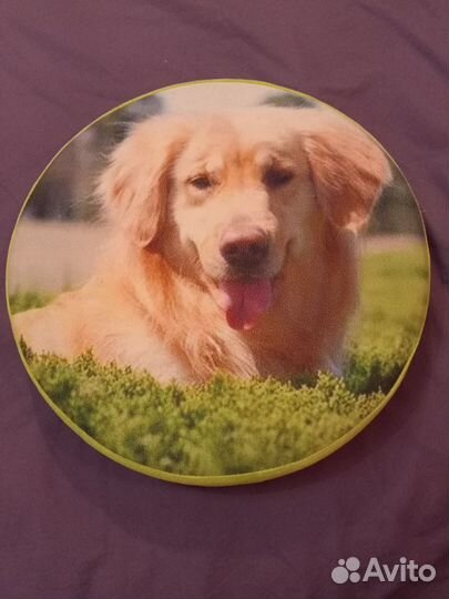 Комплект для дачи