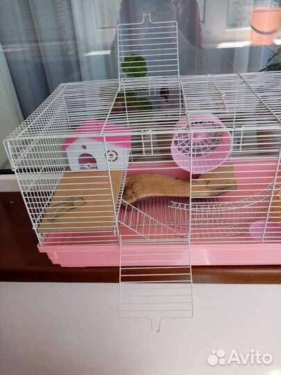 Клетка для хомяка