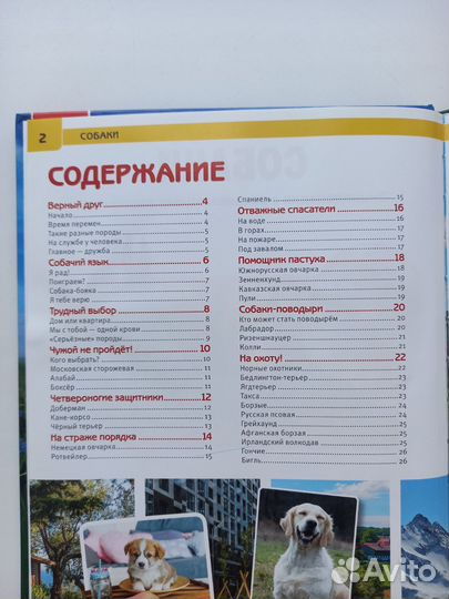 Энциклопедия про собак