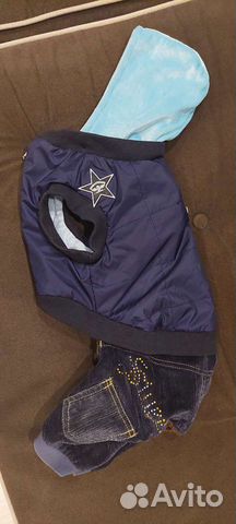 Костюм для собаки