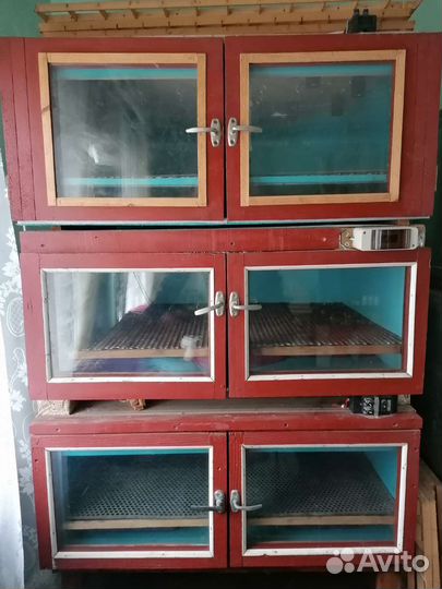 Инкубатор для яиц автоматический