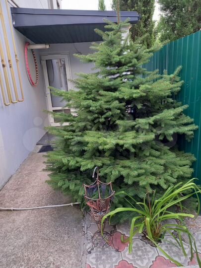 2-к. квартира, 50 м², 1/3 эт.