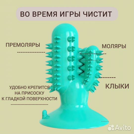 Игрушка зубочистка для собак