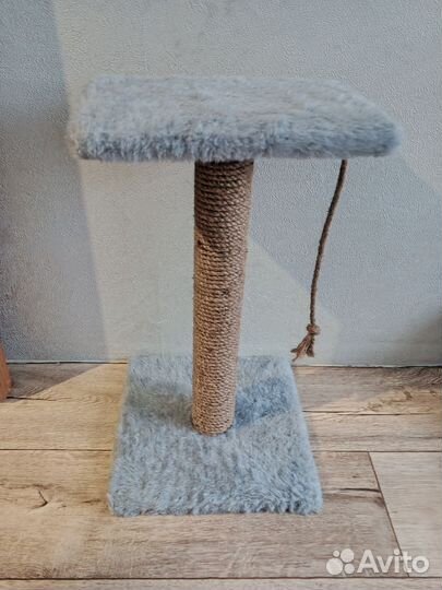 Когтеточка