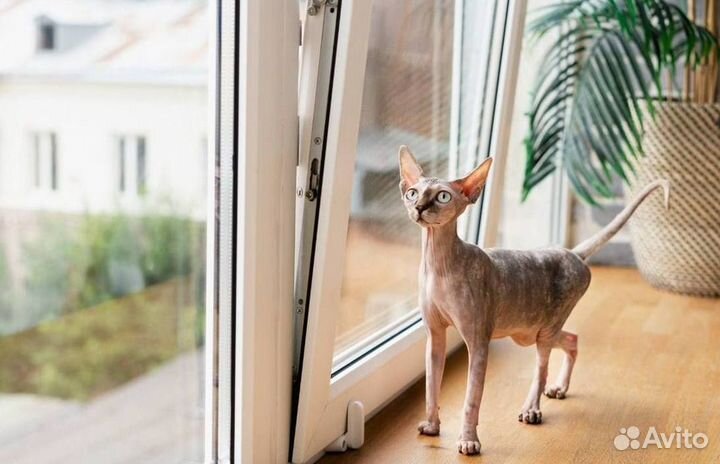 Остекление лоджий