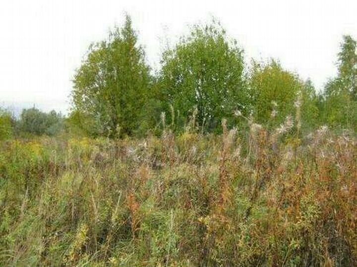 Участок 22 сот. (ИЖС)