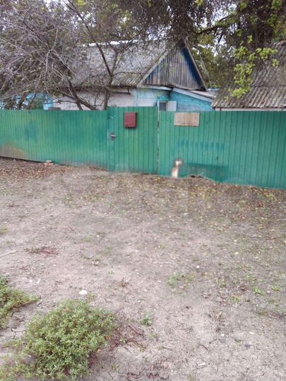 Дом 20 м² на участке 35 сот.