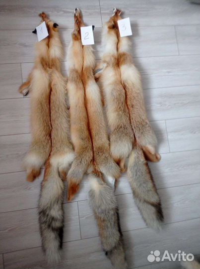 Шкуры лисы