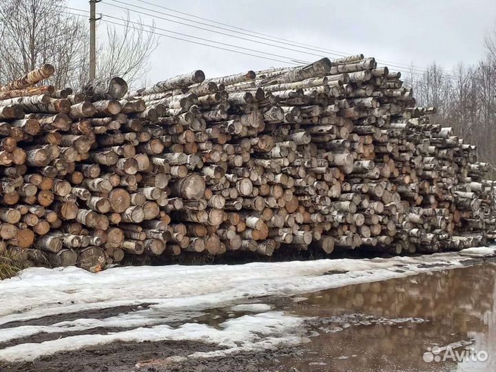 Береза кругляк на дрова