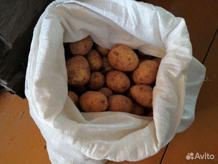 Продам картофель ведрами