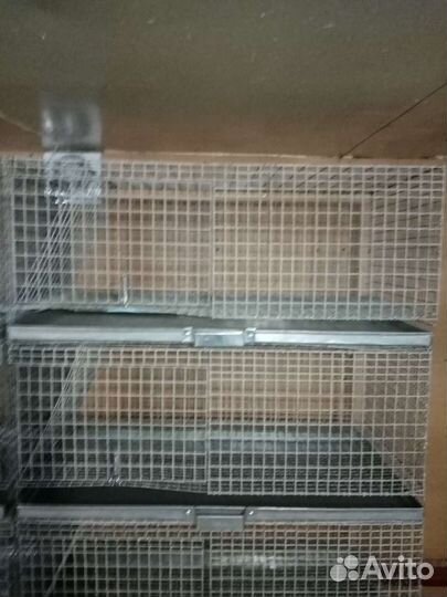 Клетки для кроликов и шиншилл, шиншиллы