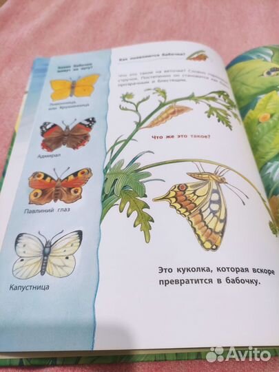 Новая книга детская