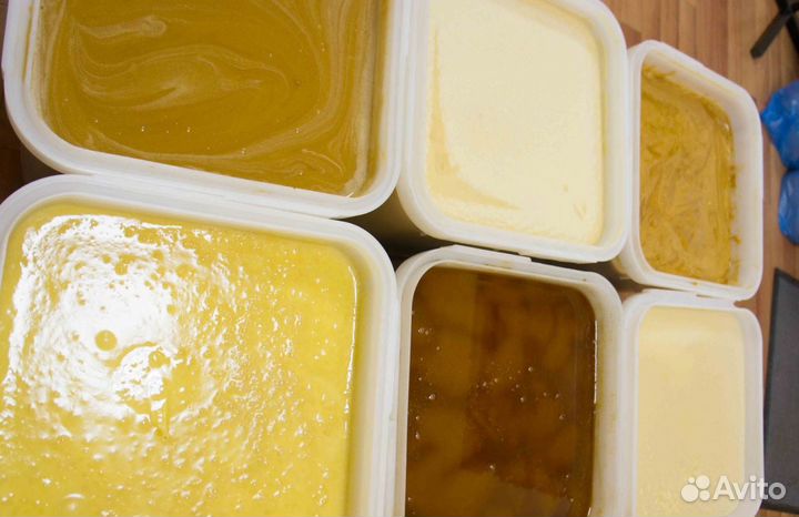 Мёд натуральный алтайский опт