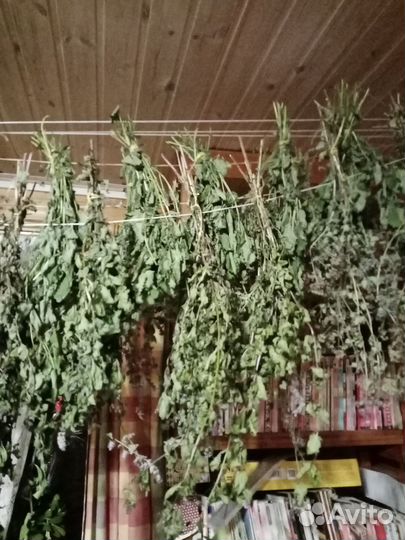 Лекарственные ароматные травы и сборы