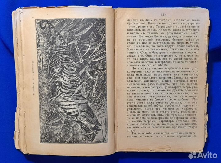 Мир животных. Э. Пименова 1902 г. В 3-х частях. R