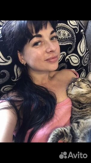 Передержка животных