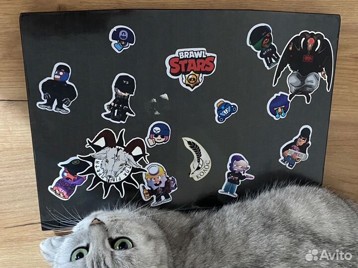 Игровой ноутбук msi katana