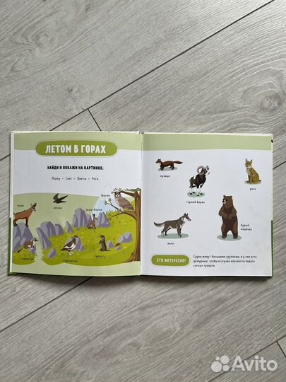 Детская книга clever, Животные