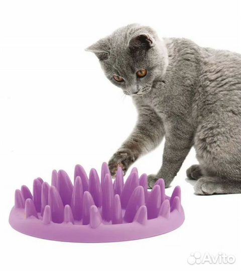 Интерактивная кормушка + лоток и поильник