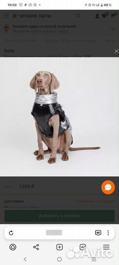 Одежда для собаки(средней породы)