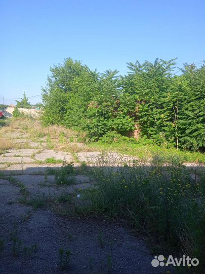 Покос травы -спил деревьев