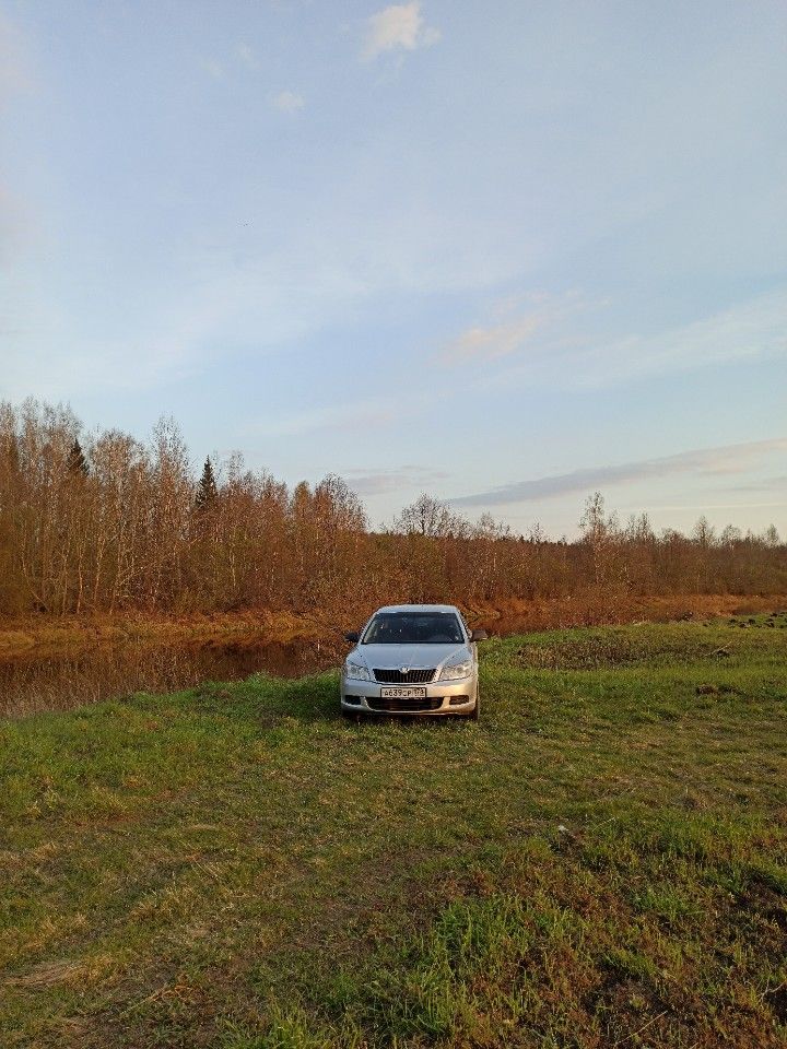 Skoda Octavia: фото владельца
