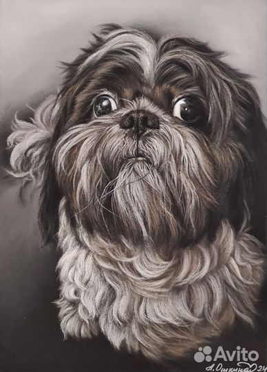 Портрет домашнего любимца по фото на заказ