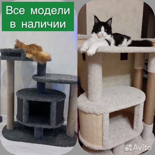 Когтеточка для кошки