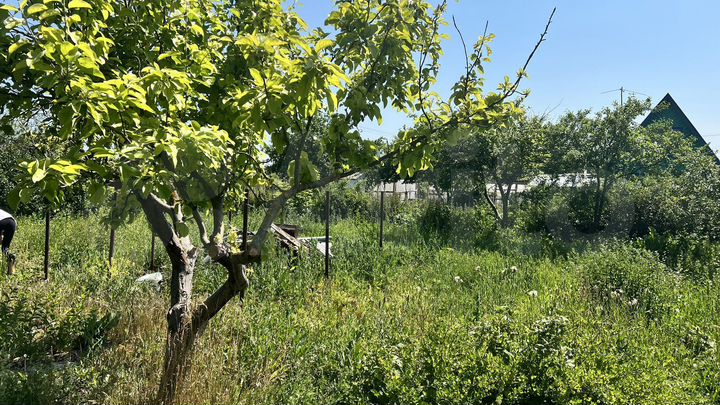 Участок 7,4 сот. (ИЖС)