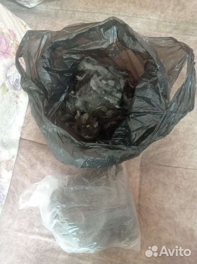 Кошачья шерсть