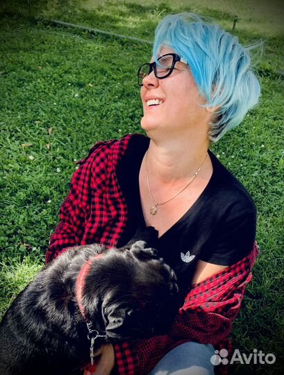 Психологическая помощь