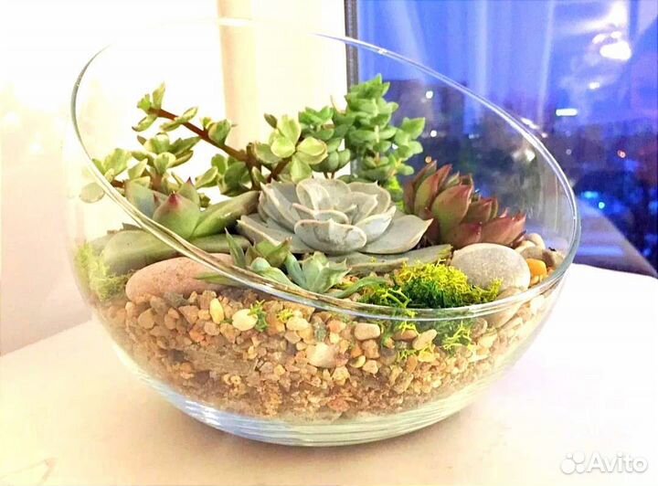 Ваза полукруглая для флорариума