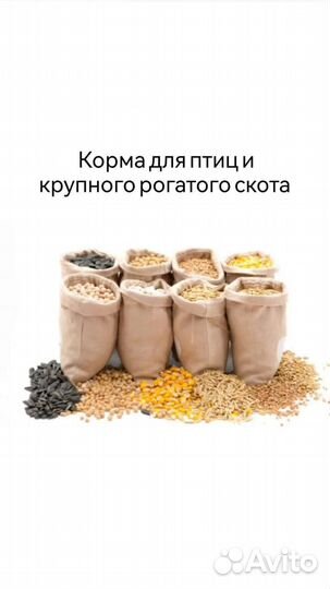 Корма для животных и птиц