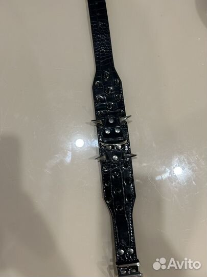 Ошейник для собак