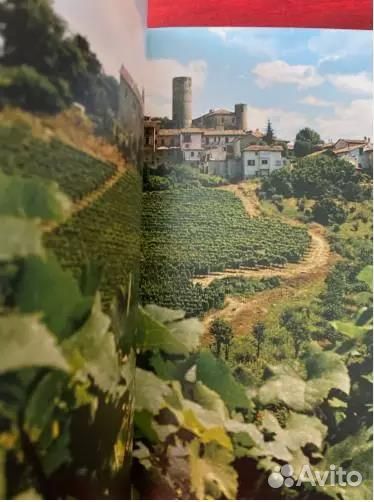 Гурманиада. Кулинарный путеводитель по Италии. Вре