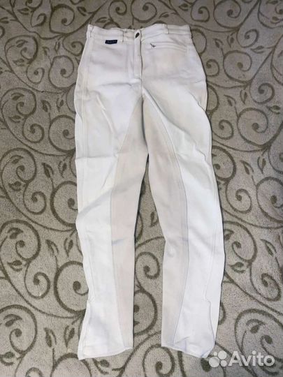 Продам бриджи для конного спорта