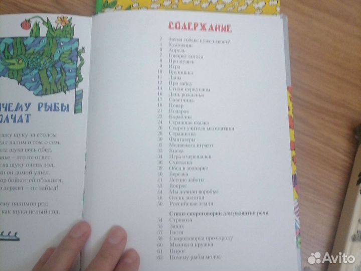 Книги Ирины Шейбак