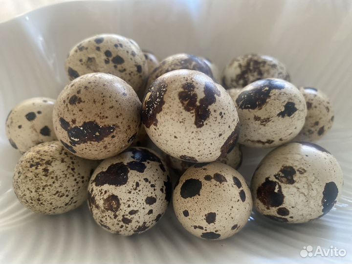 Домашние перепелиные яйца
