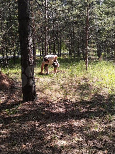 Дом 56 м² на участке 18 сот.