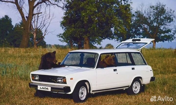 Водитель-экспедитор